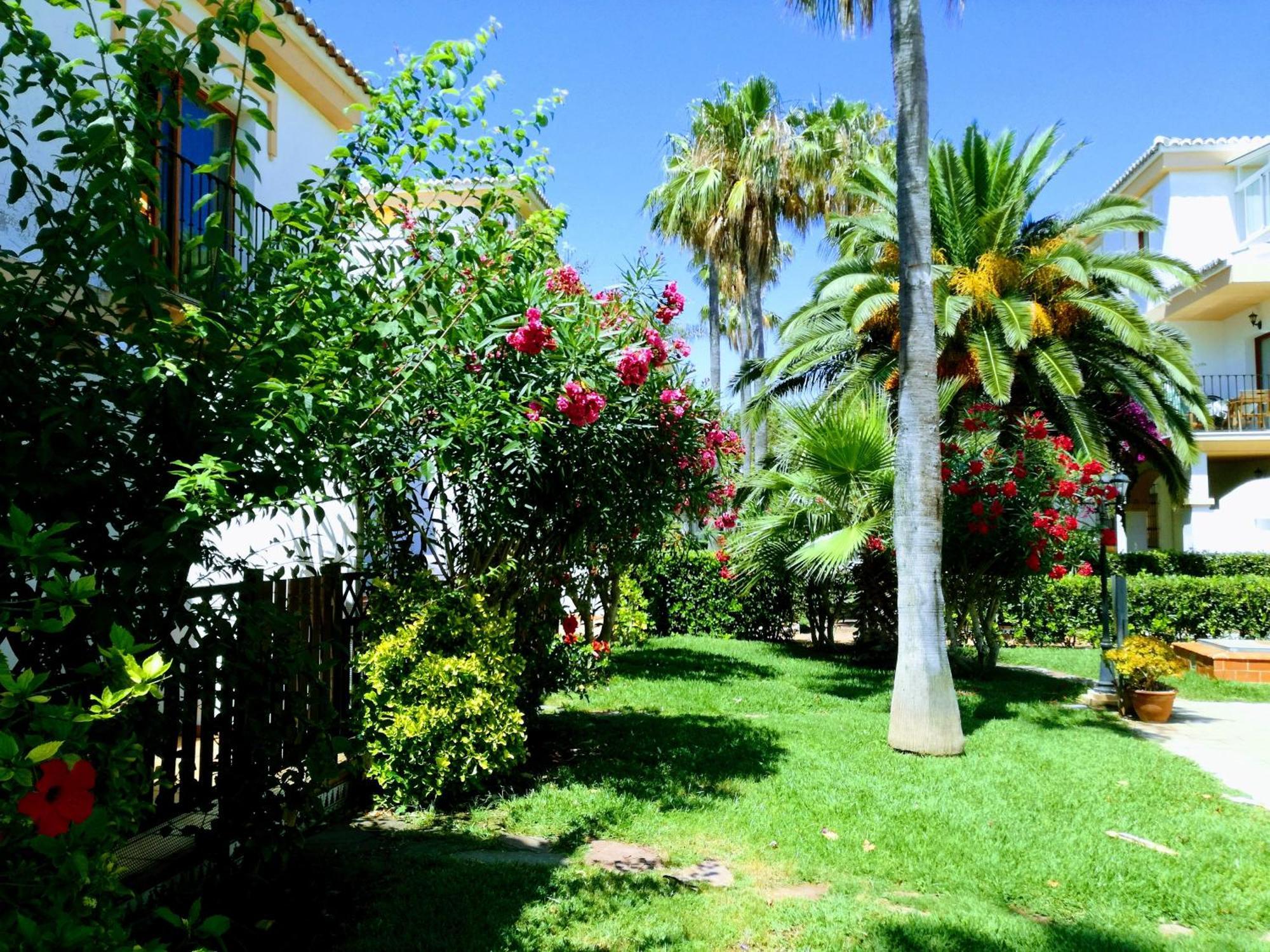Planta Baja Con Porche Y Piscina, Cerca Del Mar Apartamento Dénia Exterior foto